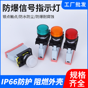 22开孔8022防爆防腐指示灯信号灯电源运行故障红绿黄380V220V24V