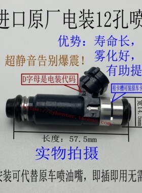 适用大地鹰王摩托车DD250-3NDD250-9ADD350G  12孔喷油嘴改装