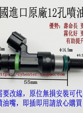 适用宝马N46 N42 E46 E60 E90 318i 320i 520li  N52 12孔喷油嘴