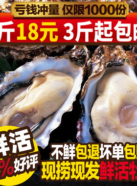 青岛生蚝鲜活牡蛎海鲜水产鲜活新鲜大海蛎子贝类3斤包邮