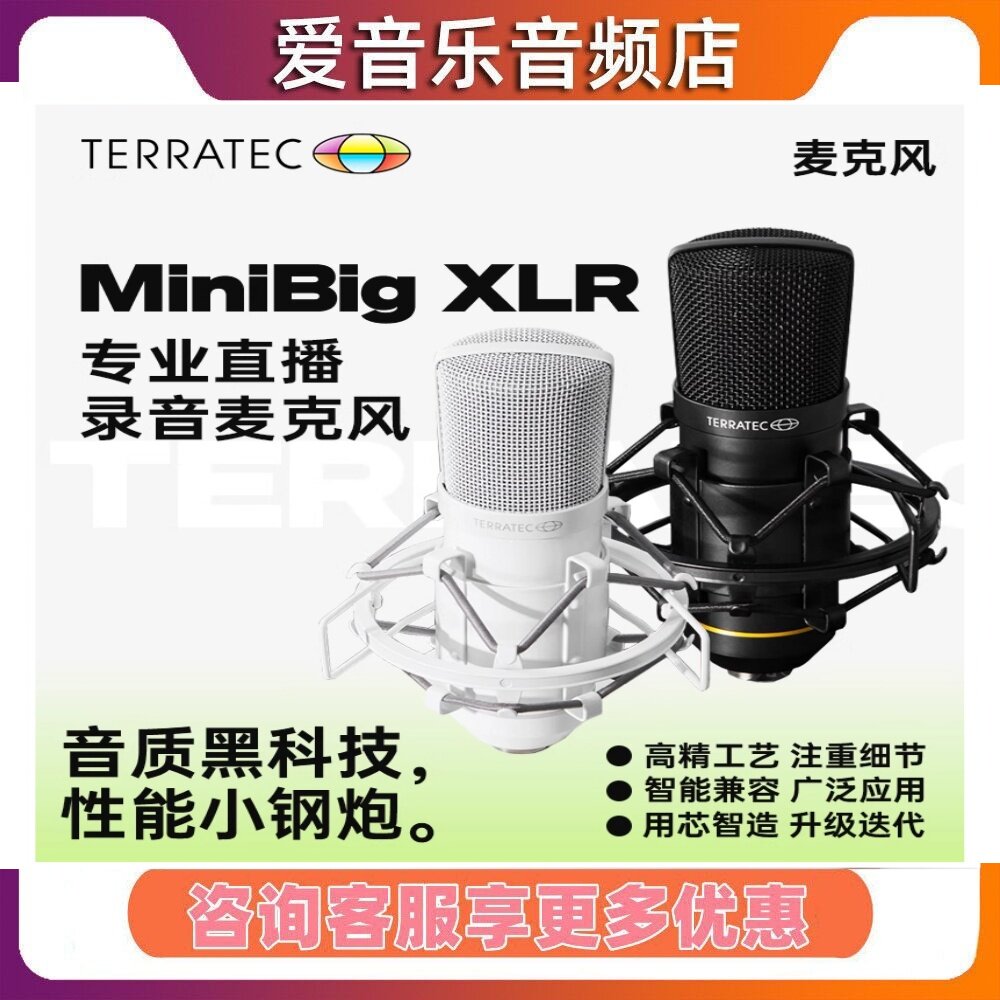 TERRATEC/坦克小钢炮大振膜专业电容录音K歌直播有声书麦克风话筒