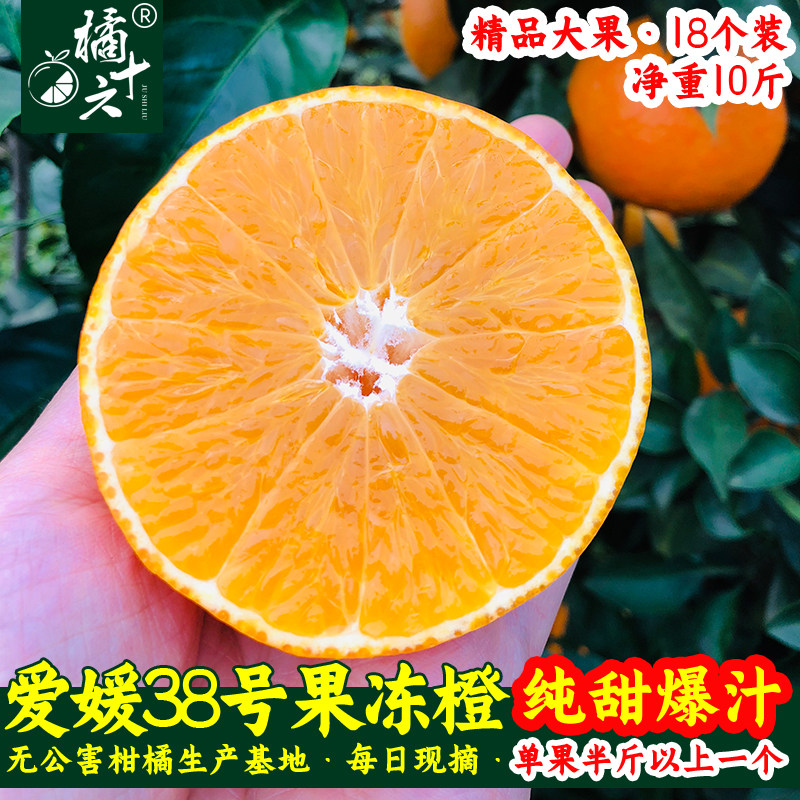 爱媛38号果冻橙柑橘红美人手剥橙