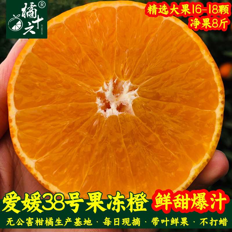四川爱媛38号果冻橙丹棱红美人