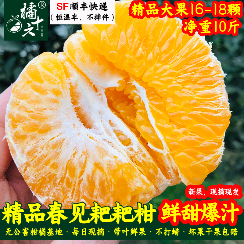 眉山春见耙耙柑纯甜10斤精品大果