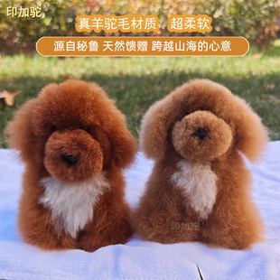 秘鲁手工真羊驼毛泰迪小狗狗马尔泰玩偶 公仔毛绒儿童女朋友玩具