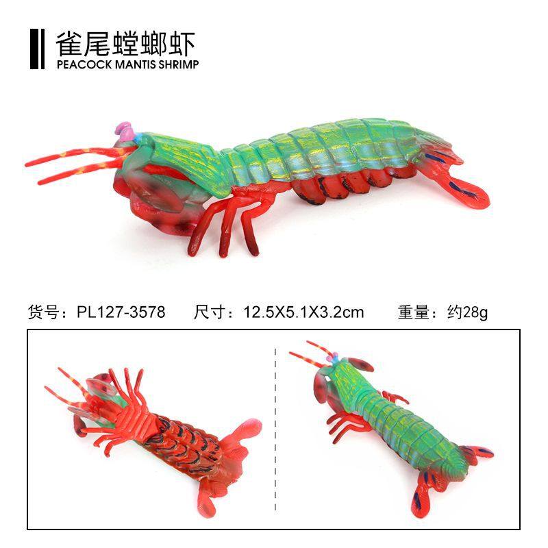 皮皮虾仿真海洋动物模型虾蛄 雀尾螳螂虾 七彩螳螂虾摆件认知玩具,玩具/童车/益智/积木/模型,仿真/动物玩偶,淘宝优惠券,粉丝福利购,淘宝优惠卷