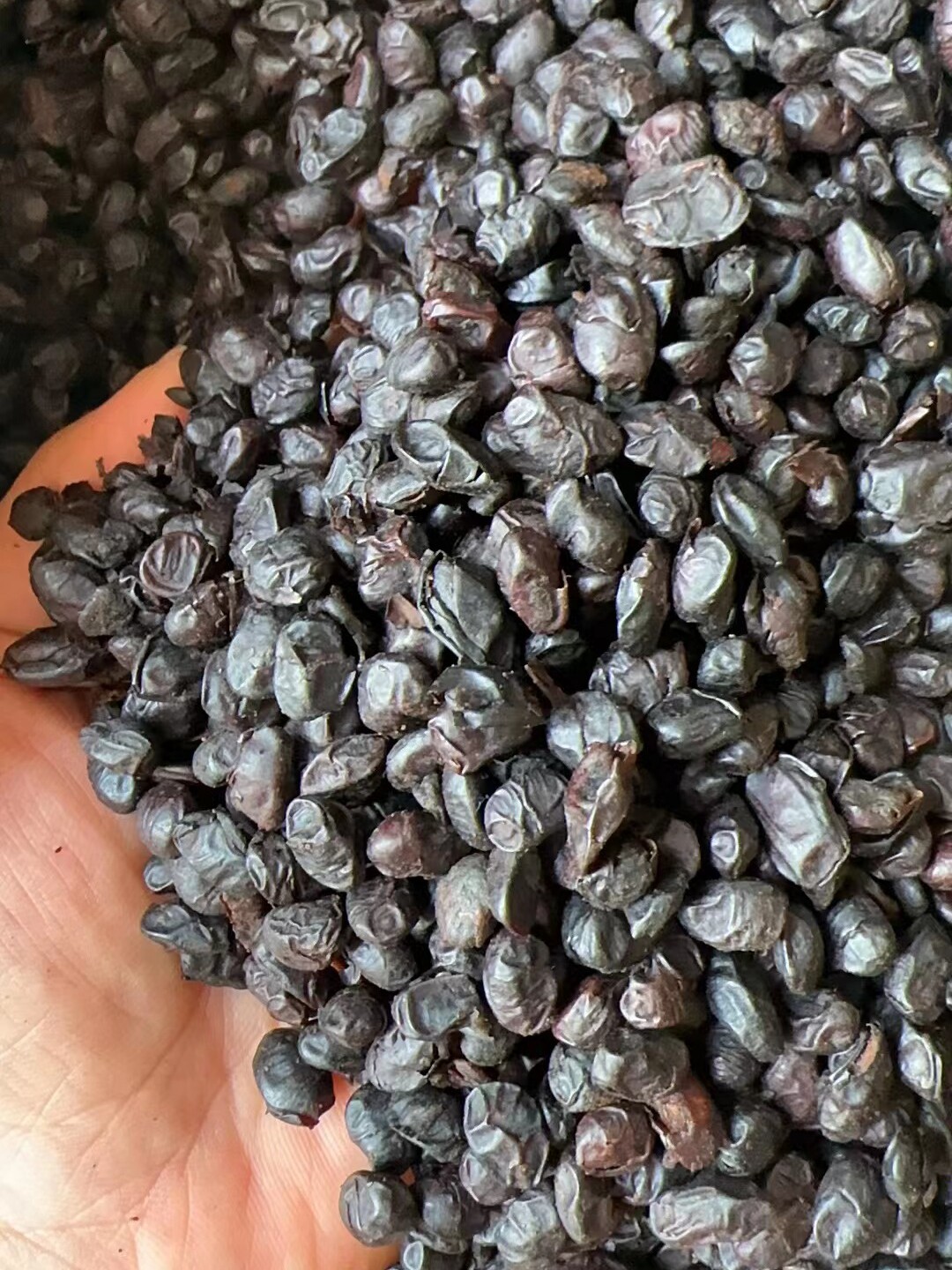 黑豆豉农家制作江西特产调味料