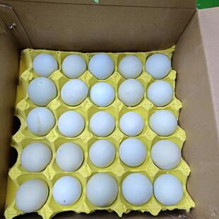 四川达州万源特产旧院黑鸡蛋农家土鸡蛋50个一件顺丰包邮