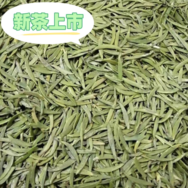 2026新茶明前头采雀舌万源大巴山高山雀舌散茶茶叶春茶嫩芽绿茶