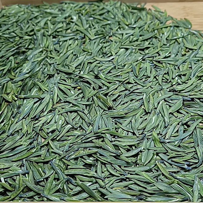 2025新茶四川万源大巴山特产雀舌高山云雾茶叶春茶绿茶散装自饮