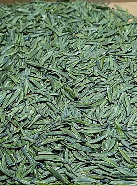 2026新茶四川万源大巴山特产雀舌高山云雾茶叶春茶绿茶散装自饮