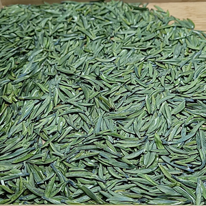 2026新茶四川万源大巴山特产雀舌高山云雾茶叶春茶绿茶散装自饮