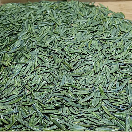 2026新茶四川万源大巴山特产雀舌高山云雾茶叶春茶绿茶散装自饮