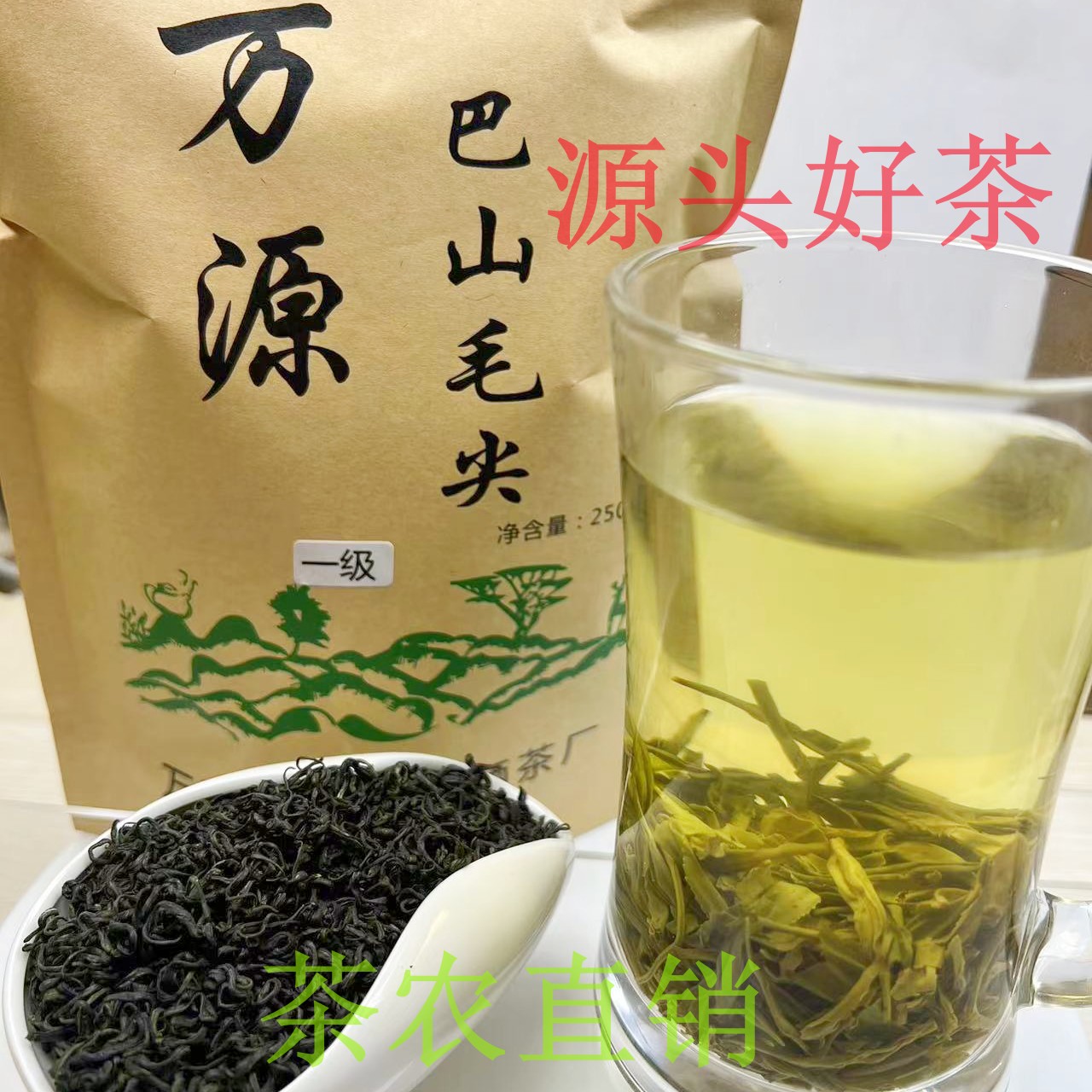 茶农直销绿茶萼山新茶高山茶