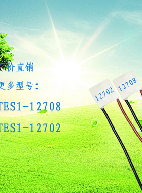20*20mm直流12V帕尔贴制冷片15V0.8ATES1-12708 15V2A TES1-12702
