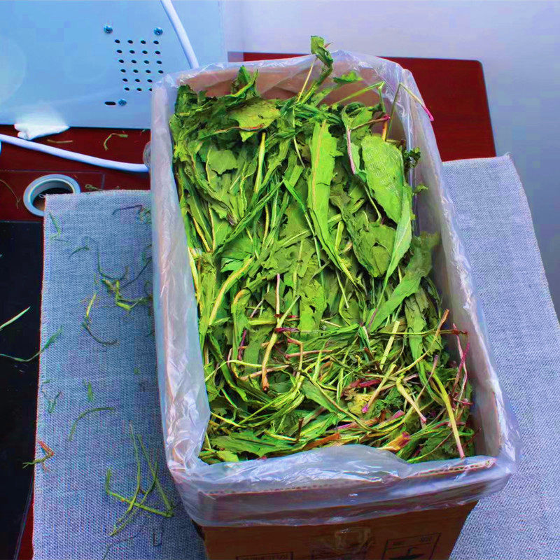 2022年烘干蒲公英草兔子龙猫荷兰猪消炎祛火增加食欲防治肠胃炎,宠物/宠物食品及用品,兔兔干草,淘宝优惠券,粉丝福利购,淘宝优惠卷