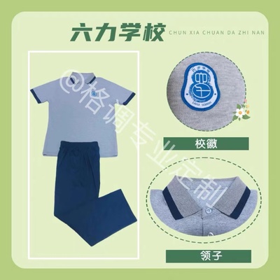 天津市六力学校短袖夏季