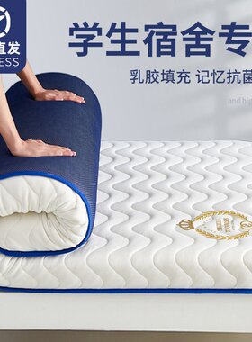 日本乳胶记忆棉床垫遮盖物软垫