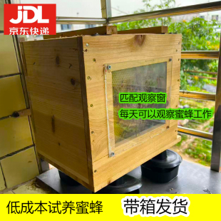 中蜂带王中华蜜蜂活蜂蜂群养殖阿坝中蜂蜂群中华土蜂活蜂笼蜂新手