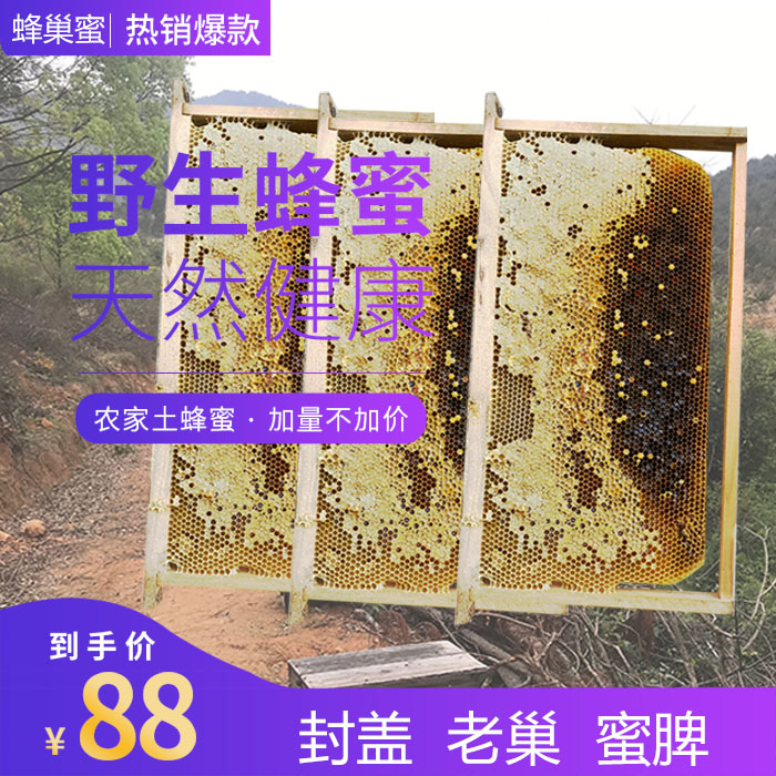 中蜂旧巢脾 成品巢础 蜂蜜繁殖脾 笼蜂繁殖脾 诱蜂巢脾 造好蜜脾