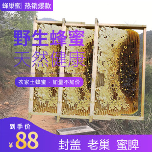中蜂旧巢脾 成品巢础 蜂蜜繁殖脾 笼蜂繁殖脾 诱蜂巢脾 造好蜜脾