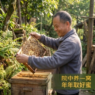 蜜蜂王蜂群带子授粉蜂活群整箱出售草莓授粉蜜蜂蓝莓授粉果蔬授粉