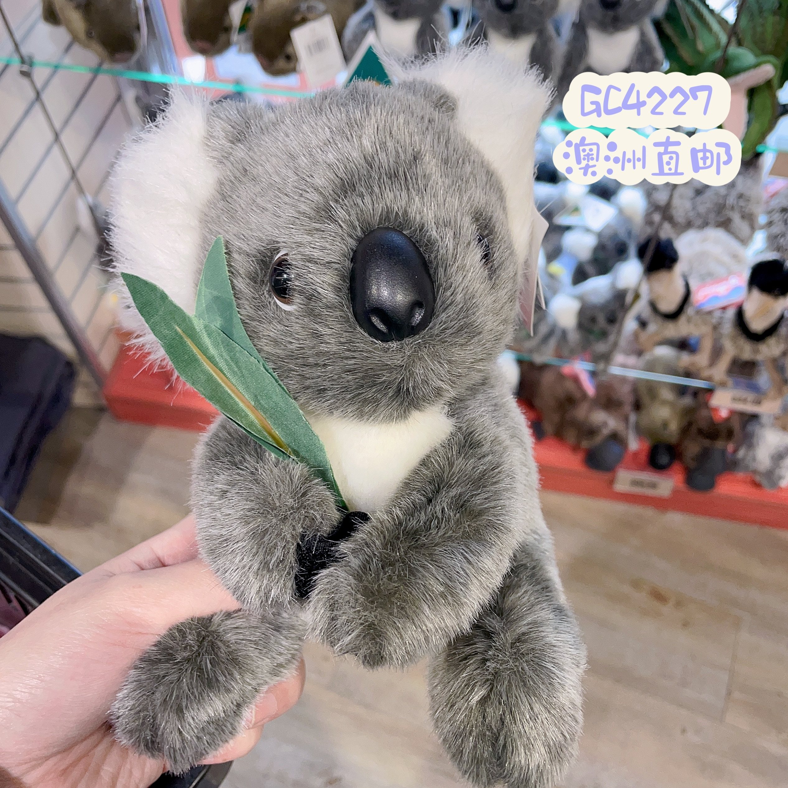澳洲代购直邮AustralianMade土澳制造考拉袋鼠毛绒玩具纪念品13cm