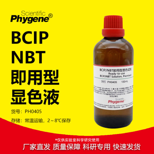 BCIP/NBT碱性磷酸酶显色液