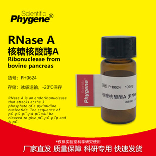 RNA酶 核糖核酸酶A PH0624 PHYGENE 实验试剂 RNase