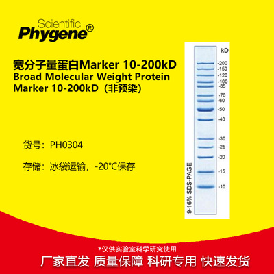 宽分子量蛋白Marker10-200kD