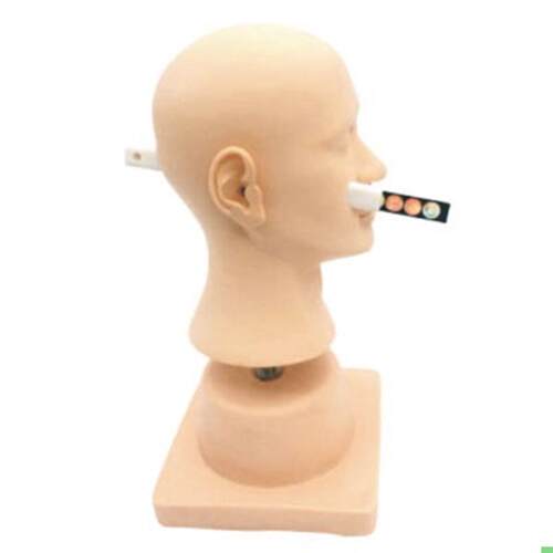 耳道诊断耳部病变耳部检查耳部清洗耳部训练模型