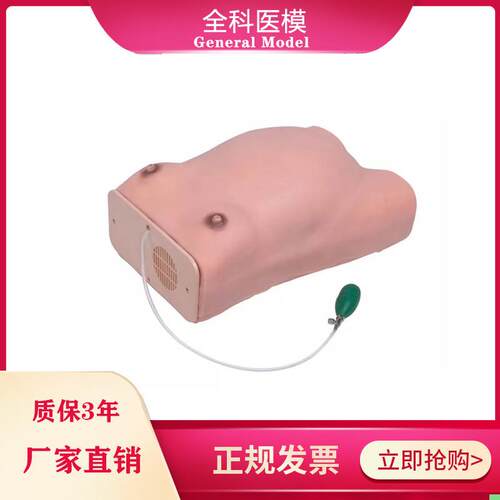 W1高级孕妇检查模型孕妇腹部触诊培训练习妇科宫内孕妇检查模型