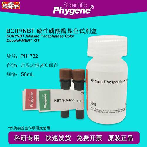 BCIP/NBT碱性f磷酸酶显色试剂盒科研实验[PH1732PHYGENE]