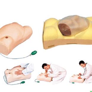 怀孕检查模型 妇科检查模型 高级电脑孕妇检查模型GD FW2