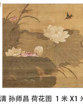 清孙师昌荷e花图古代工笔红荷叶花卉图斗方装饰画微喷复制画稿
