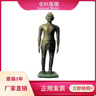 中医学用仿古针灸铜人166CM全身展览针灸铜像人体模型