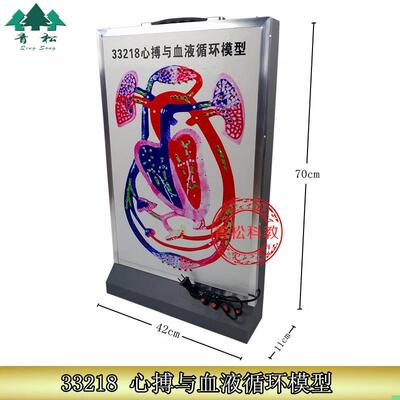 心搏与血液循环模型 33218 动态演示 生物实验器材 教学仪器 正品