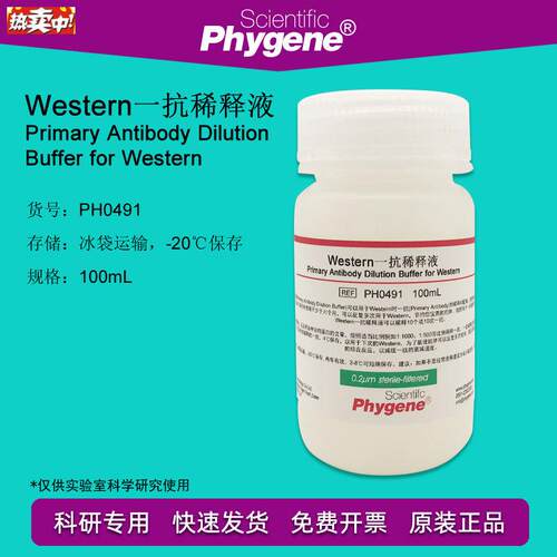 Western一抗稀释液WB实验专S用100mLPH0491PHYGENE