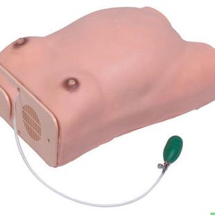 高级孕妇检查模型妇科检查模具怀孕检查模型