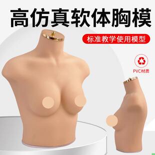 内衣文胸橱窗展示拍摄道具 C胸模 女半身硅胶软体仿真人模特75B