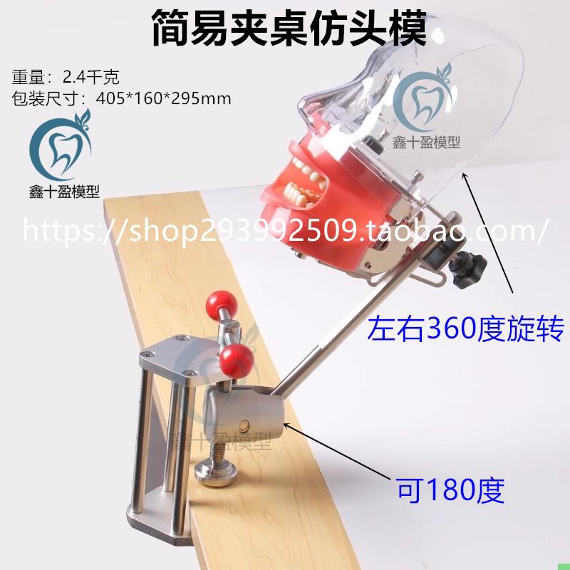 牙科模型 夹桌式简易头模口腔备牙模型器械离体牙 可调节替换牙齿