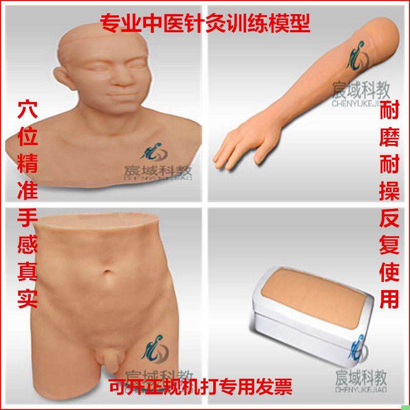 中医学针灸头部训练模型练习仿真人皮肤针刺手法假人穴位模具