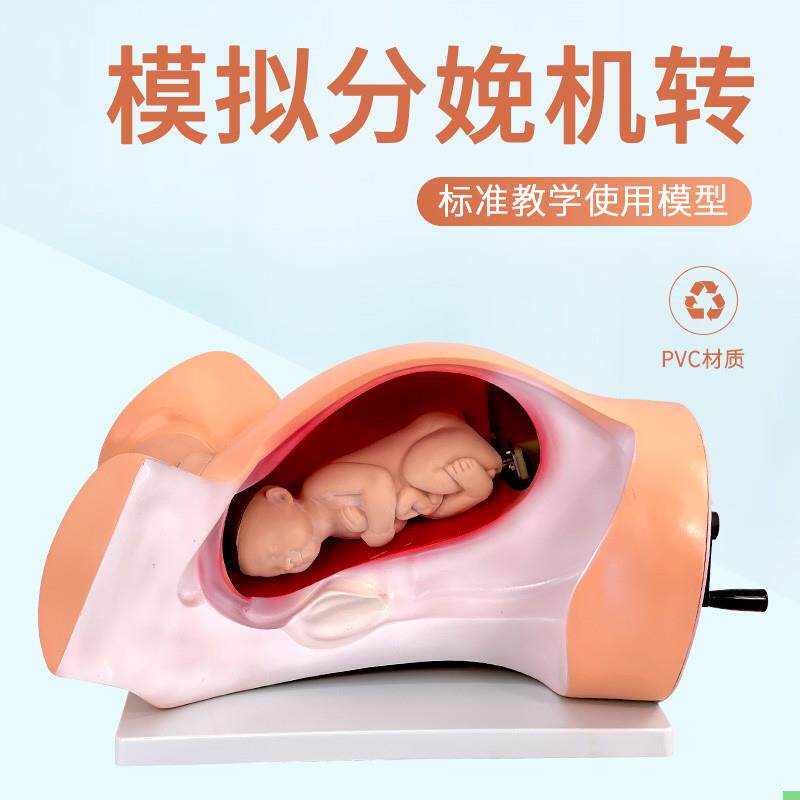 高级分娩机转示教模型妇幼产科胎儿接生助产演示过程难产护理模具
