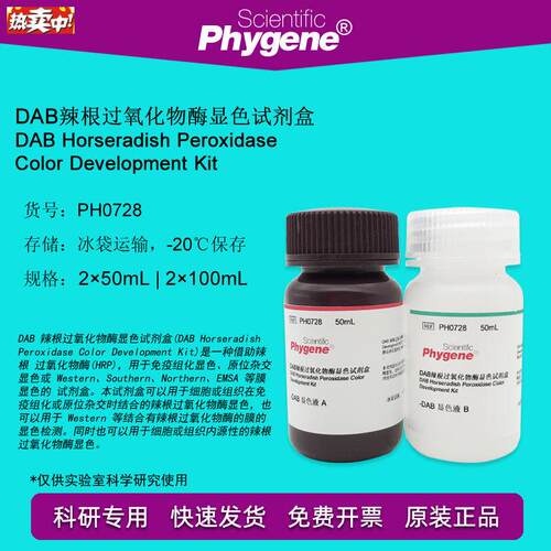 DAB辣根V过氧化物酶显色试剂盒2100ML[PH0728PHYGENE]