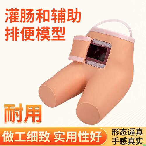 灌肠模型 辅助排便和灌肠训练习模型 医学用灌肠排便教学模型人体