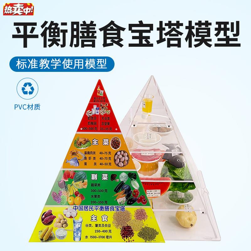 2022新版中国居I民平衡膳食宝塔模型彷真食物营养金字塔交换份模