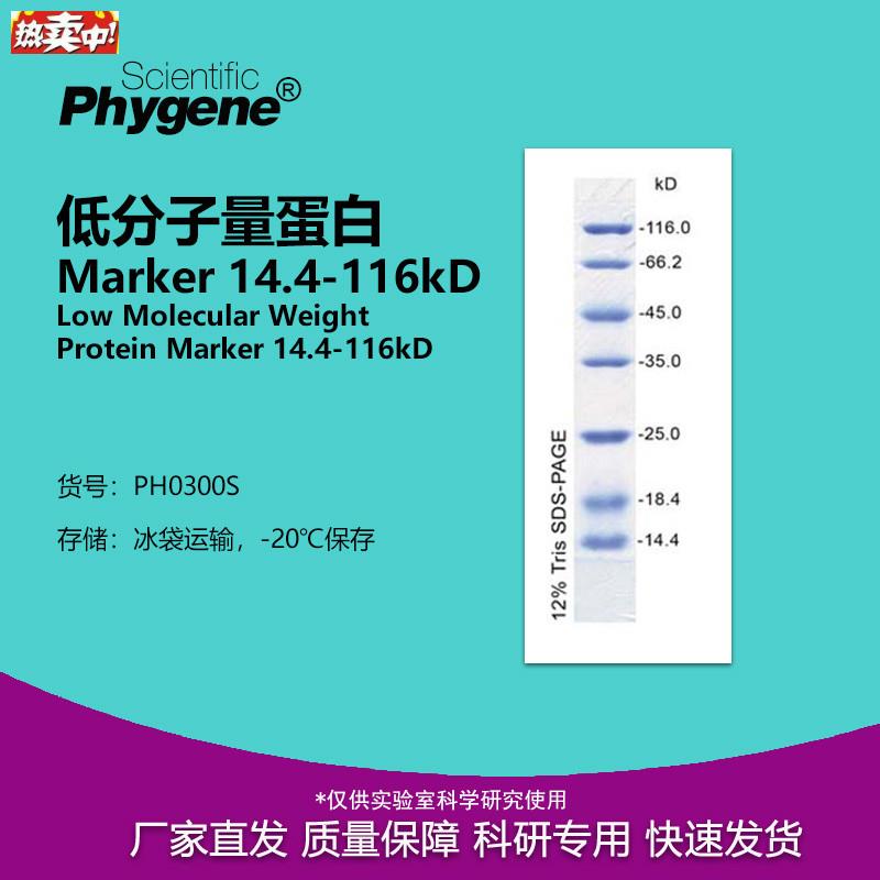 低分子量蛋p白Marker14.4-116kD20T-100lPH0300SPHYGENE