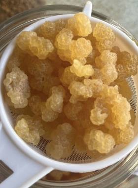 优质太阳菌缇比水晶菌红糖菌雪莲菌水开菲尔送工具