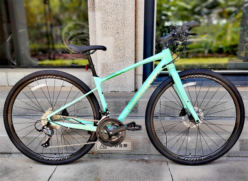 捷安特liv丽以芙aimez sl2铝合金油压碟刹直平把公路自行车女士款