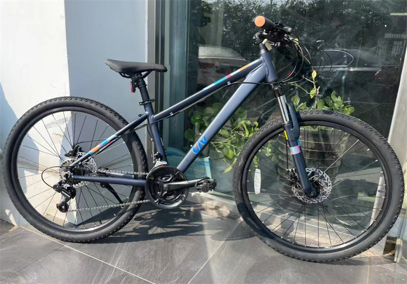 丽以芙liv捷安特咪咪meme 2女性学生通勤健身山地自行车26寸21速